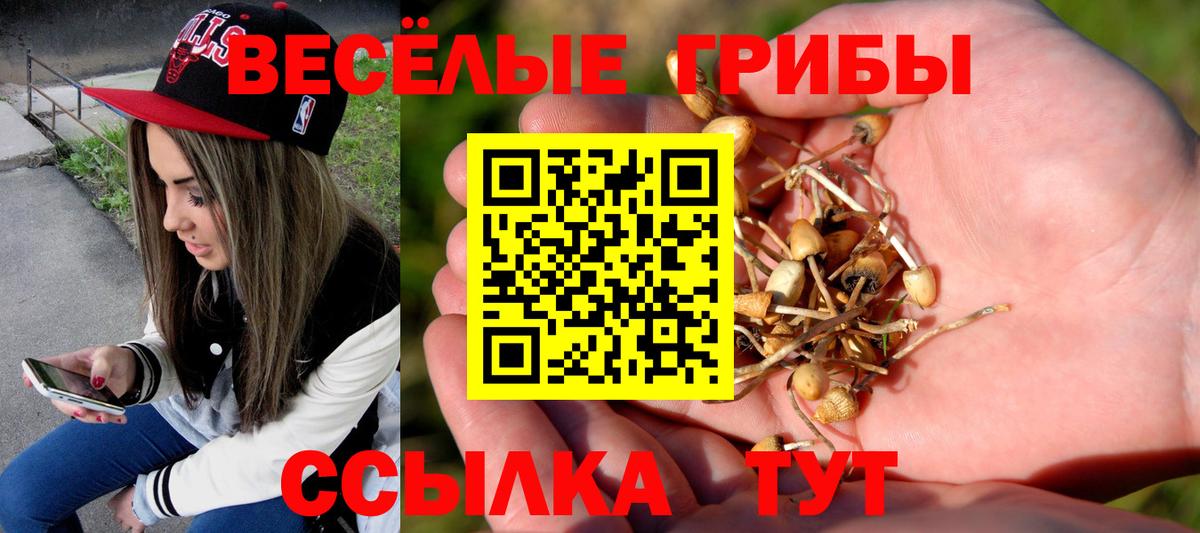Галлюциногенные грибы мицелий  Вход с VPN  Домодедово  Псилоцибиновые грибы Psilocybe 